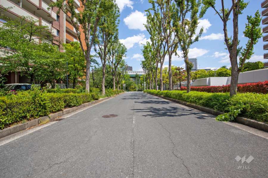 敷地南側の前面道路