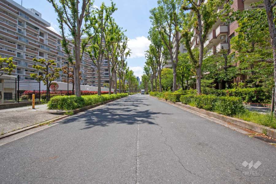 敷地南側の前面道路