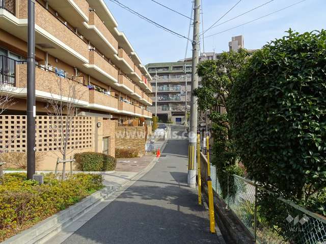 敷地南側の前面道路