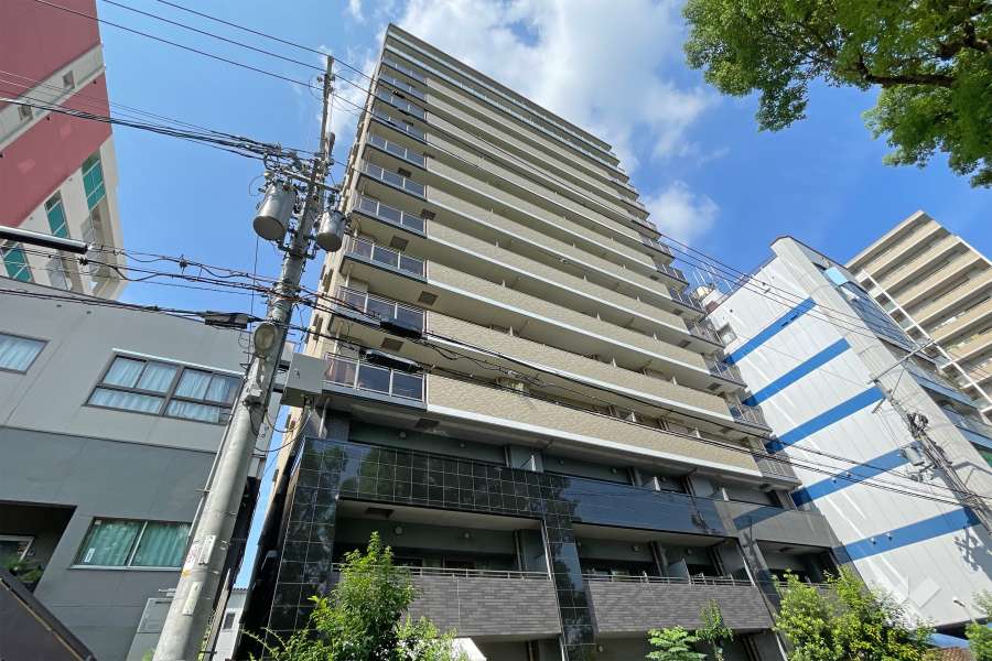 プレサンスロジェ大阪天満橋リバーテラスの外観(南東側から)