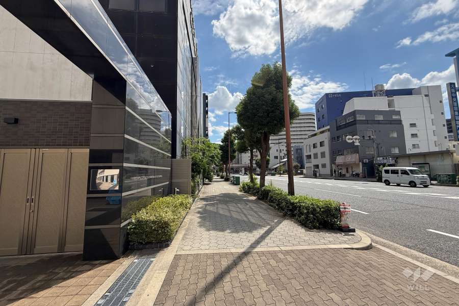 敷地西側の前面道路　