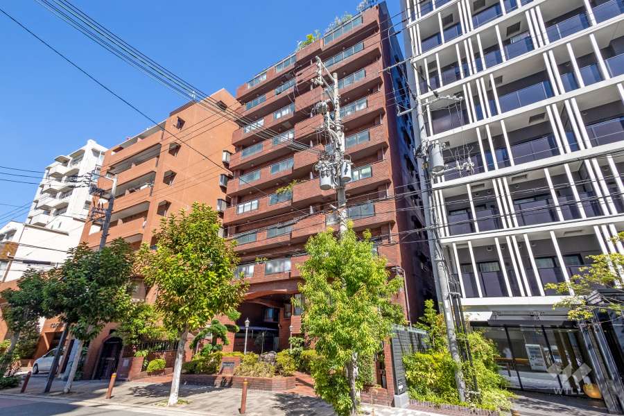 サンメゾン与力の外観（南東側から）