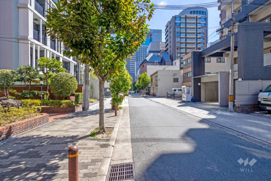 敷地南側の前面道路（西側から）
