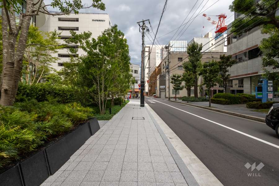 敷地南側の前面道路　