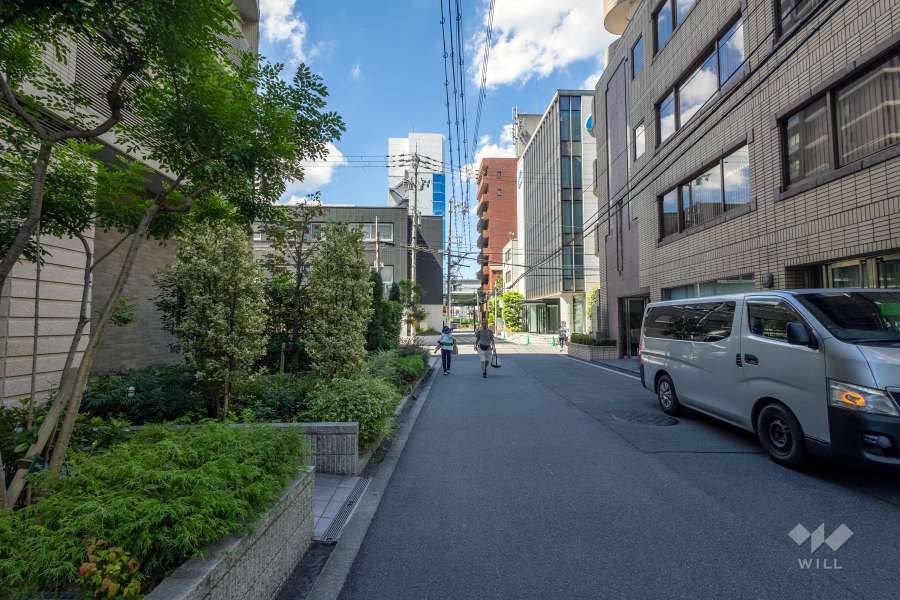 敷地の西側前面道路（北側から）