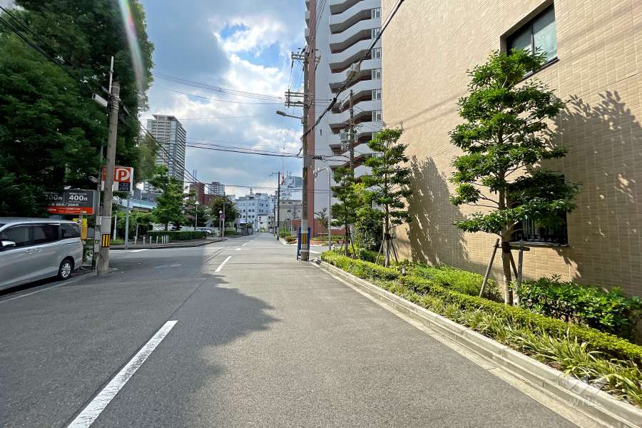 敷地東側の前面道路