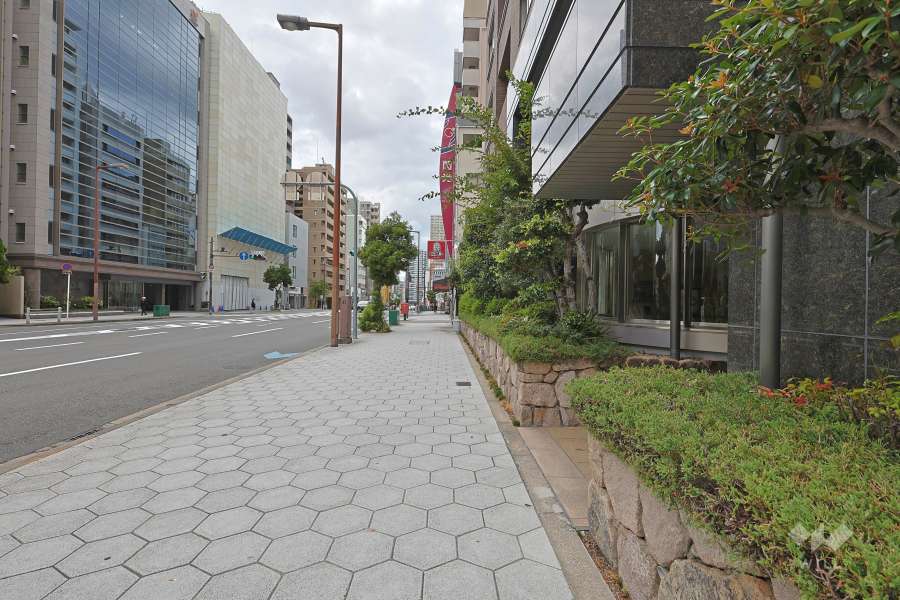 敷地南側の前面道路　