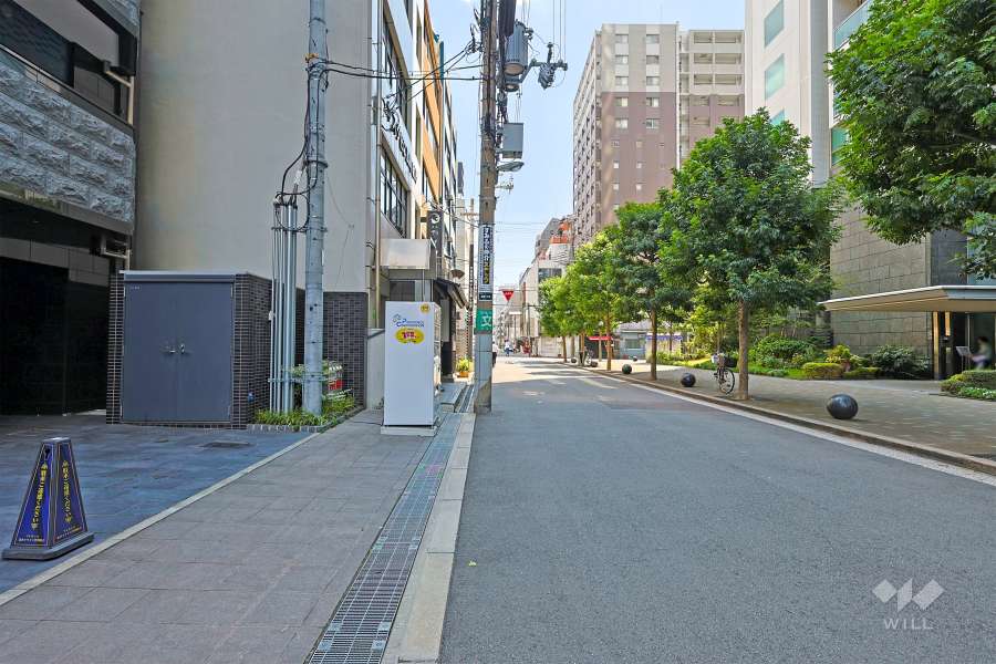 敷地西側の前面道路（北側から）