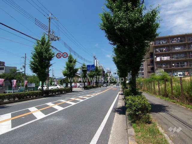 周辺道路は整備されています。