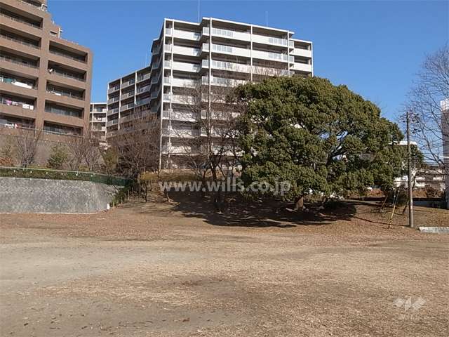 敷地の南側は広場になっています。