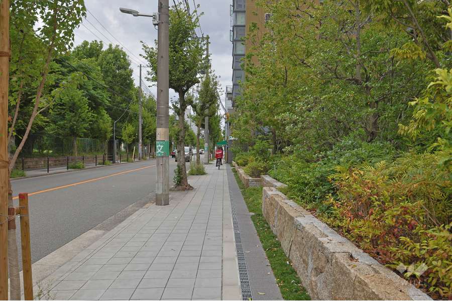 敷地の北側前面道路（西側から）