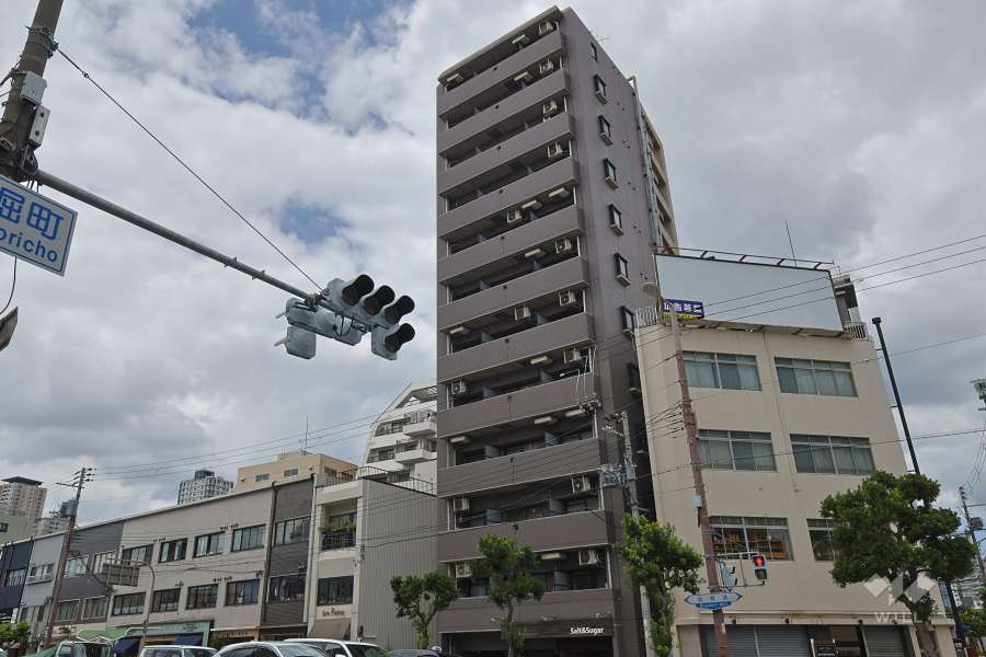 ディナスティ清水谷の外観（南東側から）
