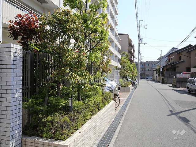 敷地南側の植栽スペース