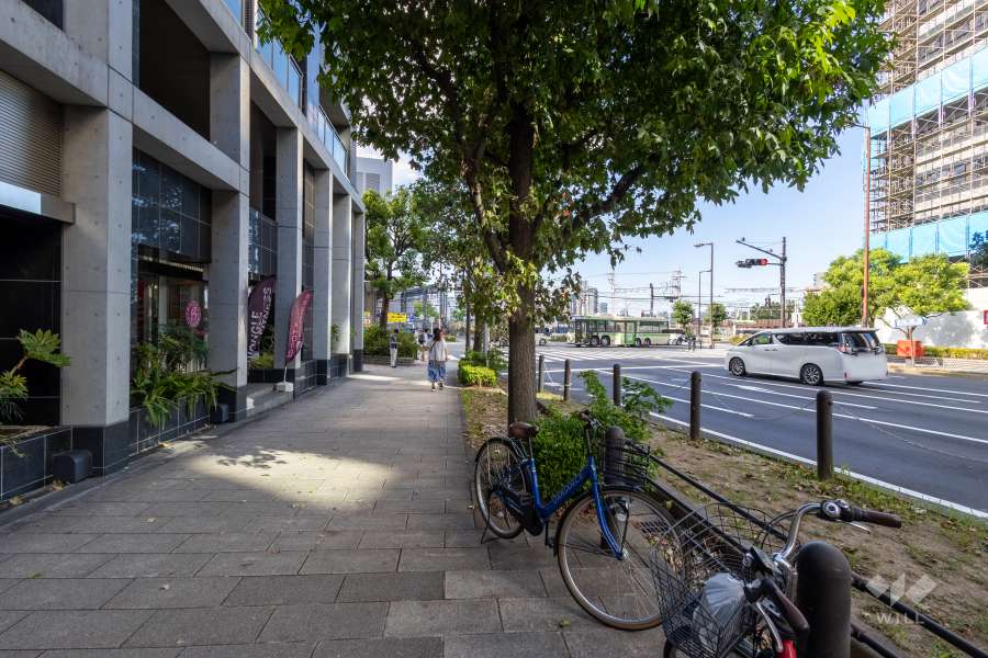 敷地の東側前面道路（南側から）