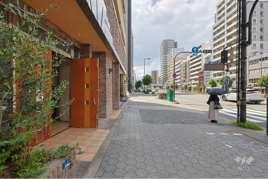 敷地の西側前面道路（北側から）