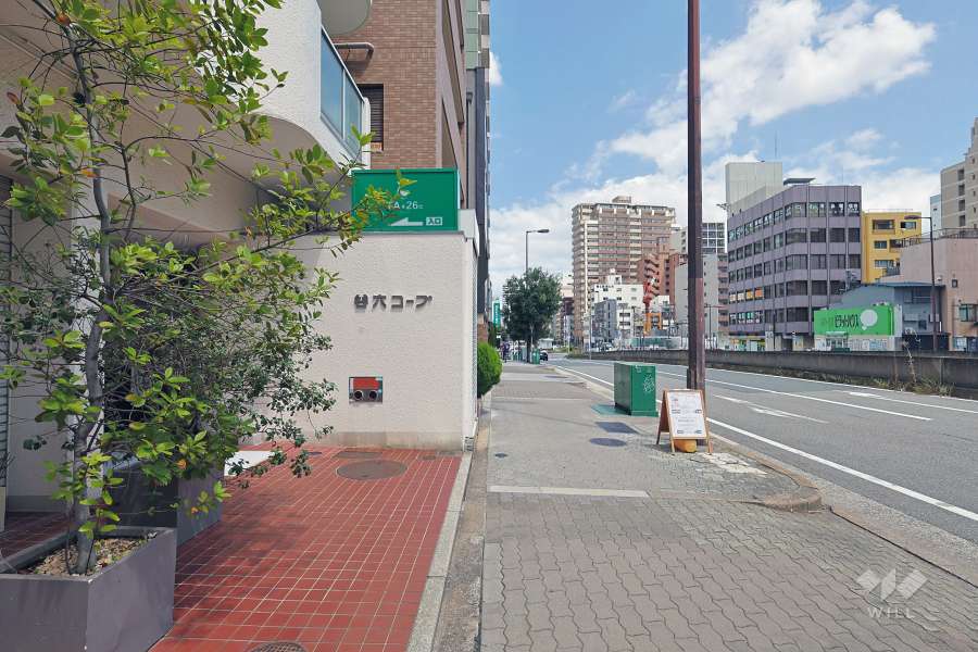 敷地の東側前面道路（南側から）