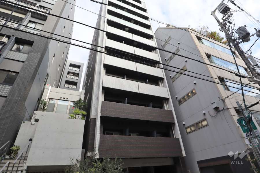 スワンズシティ心斎橋アネーロの外観（南西側から）