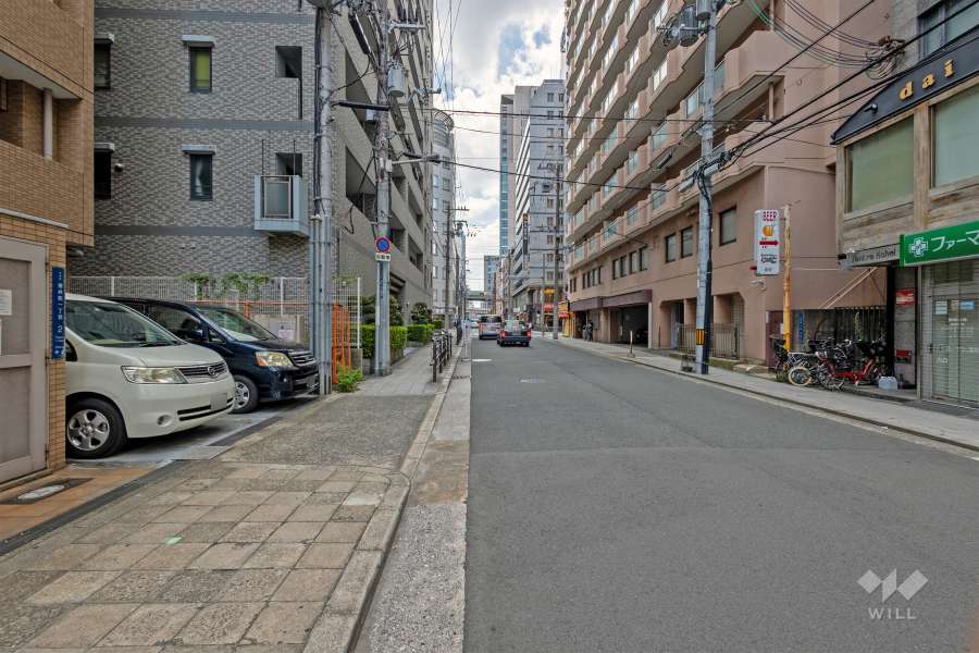 敷地の西側前面道路（北側から）