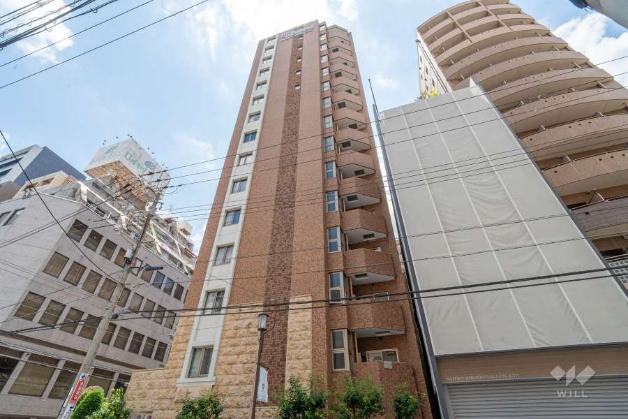 プレサンス心斎橋リベルタの外観（北側から）