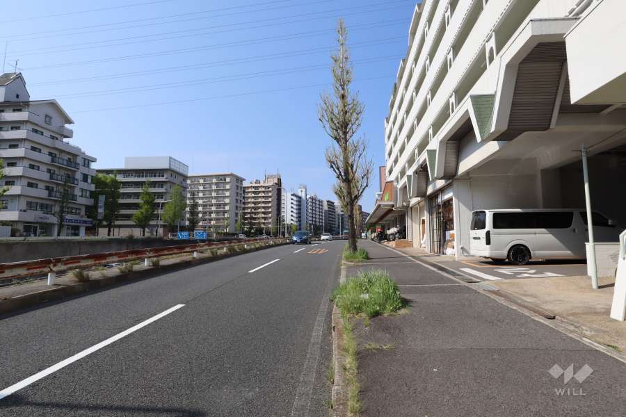 敷地西側の前面道路(南側から)