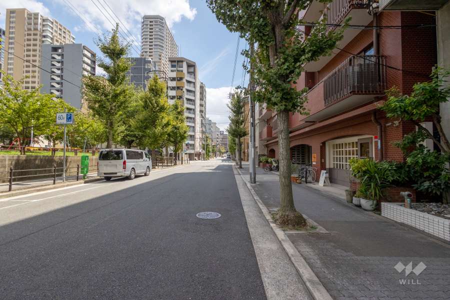 敷地北側の前面道路　　