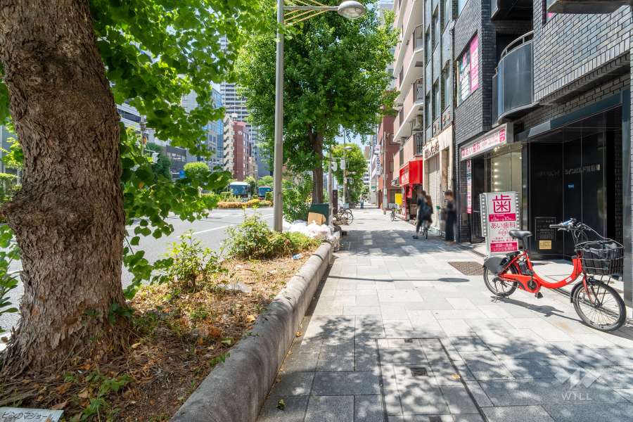 敷地南側の前面道路（東側から）