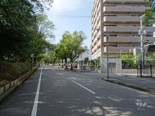 敷地南側の前面道路