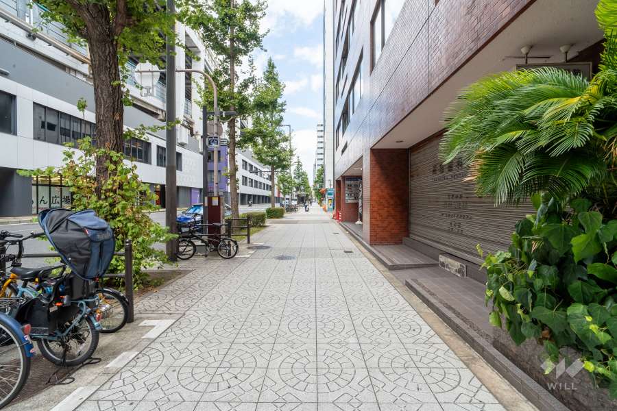 敷地の南側前面道路（東側から）