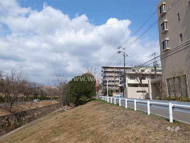 敷地の西側は一段低く、抜けています。