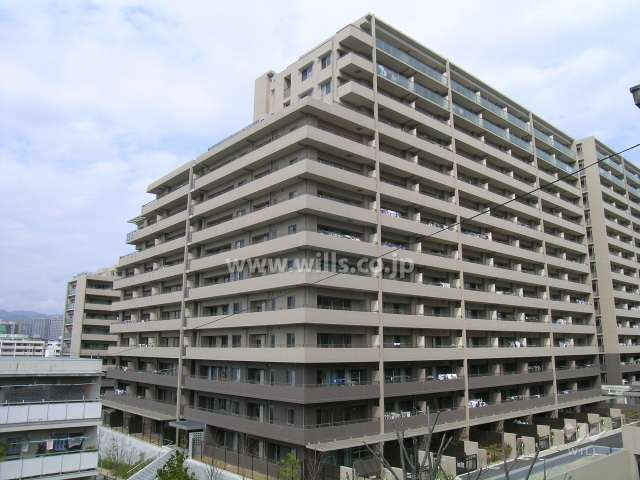 敷地の西側には団地があります。