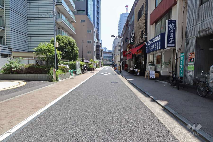 敷地南側の前面道路（西側から）