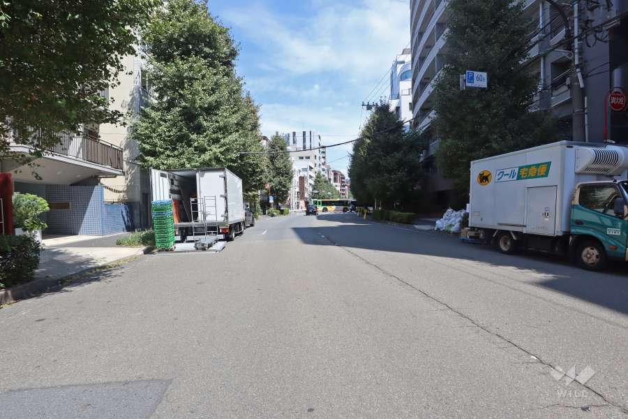 敷地西側の前面道路（南側から）