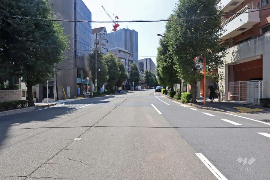 敷地西側の前面道路（北側から）