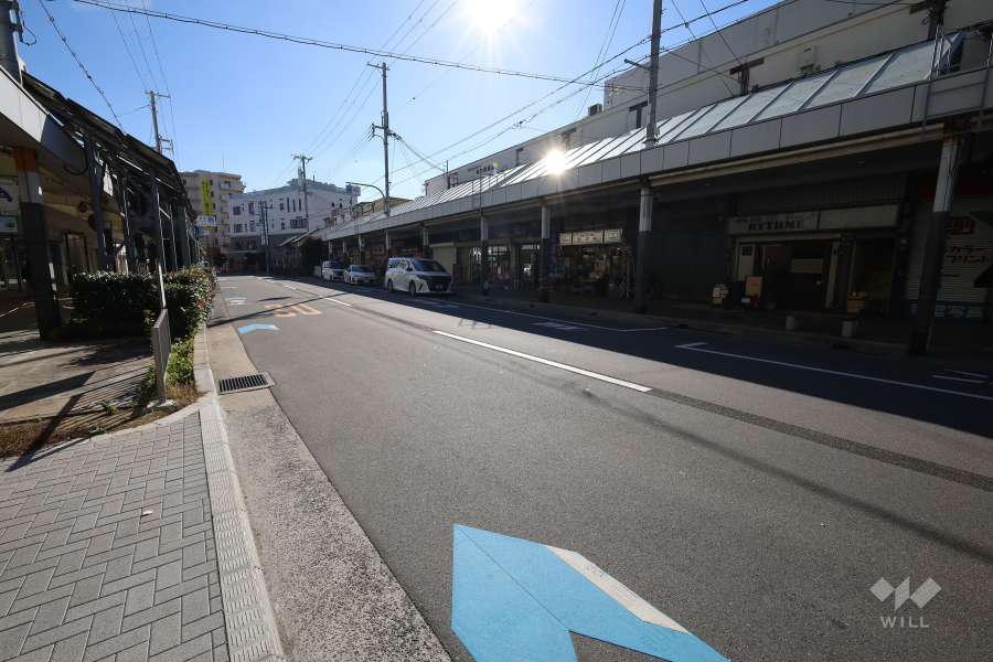 敷地西側の前面道路(北側から)