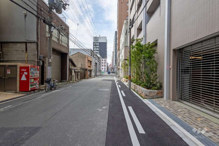 敷地の西側前面道路（南側から）