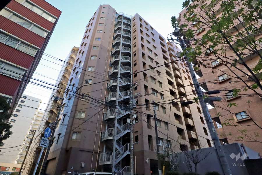 アルカーデンタワー入谷の外観（北西側から）