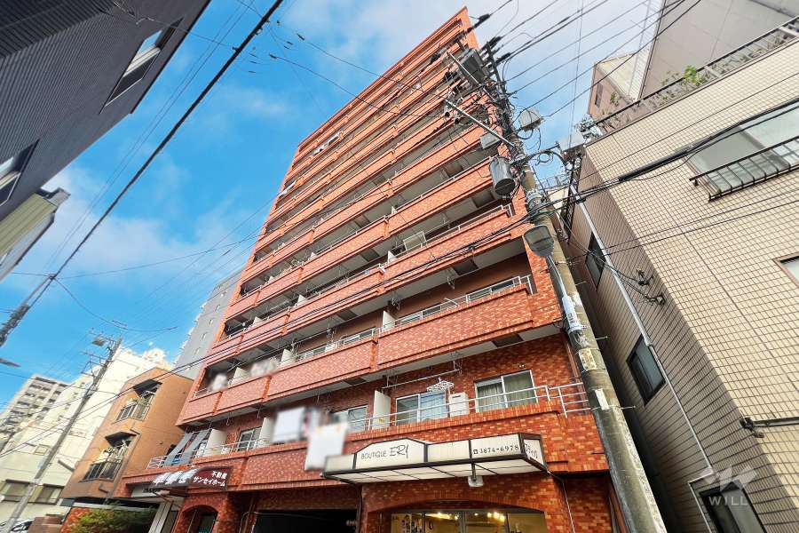 エクセル入谷2号館の外観（西側から）