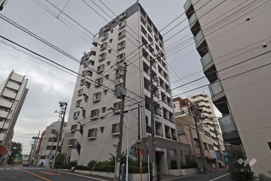 エルフィーノ浅草の外観(北西側から)