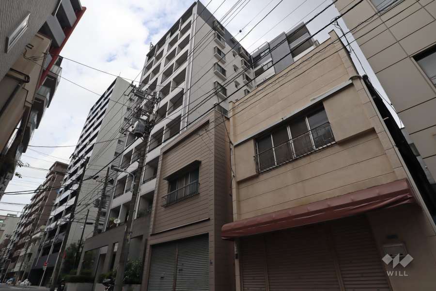 エルフィーノ浅草の外観(南西側から)