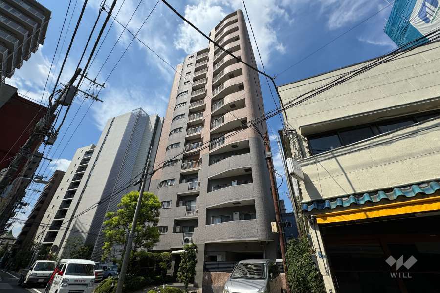 クレアシティ入谷の外観（北東側から）