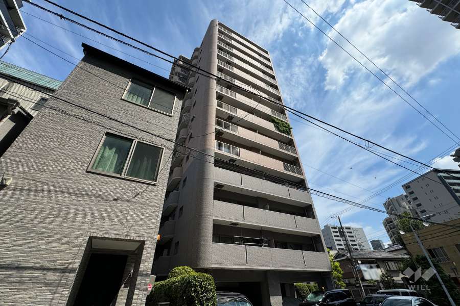 クレアシティ入谷の外観（南西側から）