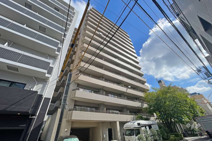 コスモ浅草ビューステージの外観（南西側から）