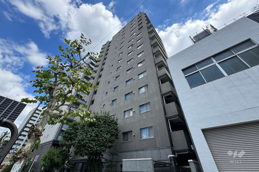 コスモ入谷ロイヤルフォルムの外観（西側から）