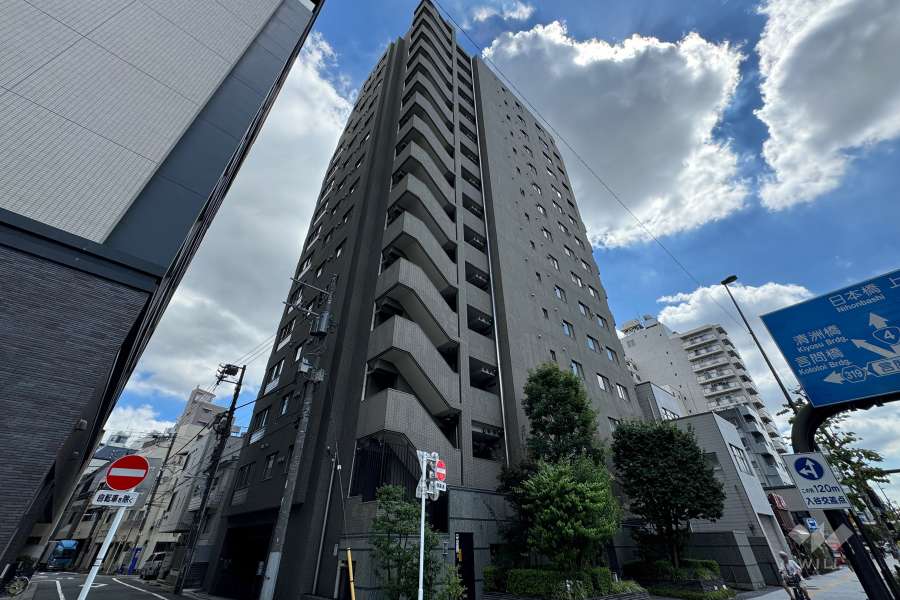 コスモ入谷ロイヤルフォルムの外観（北側から）