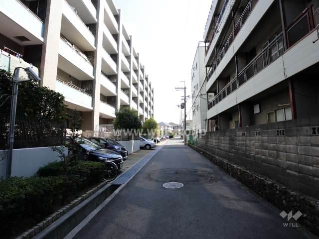 敷地南側の前面道路