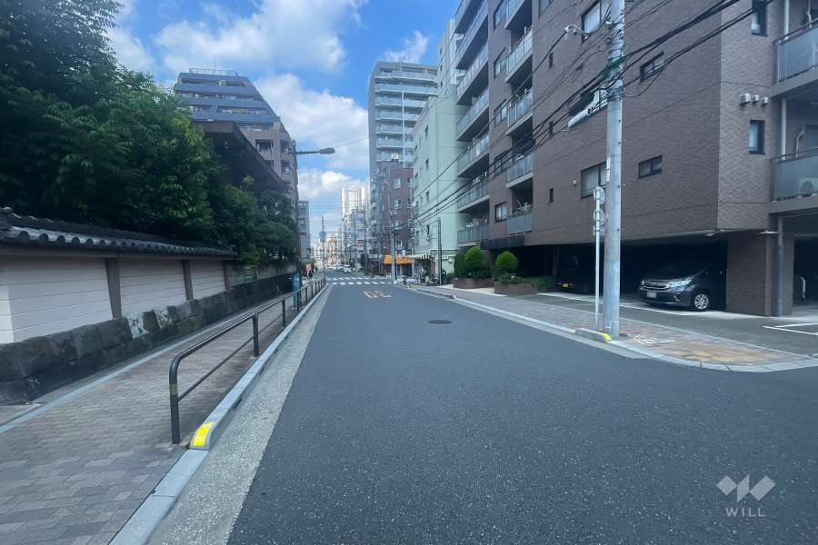 敷地の西側前面道路（南側から）
