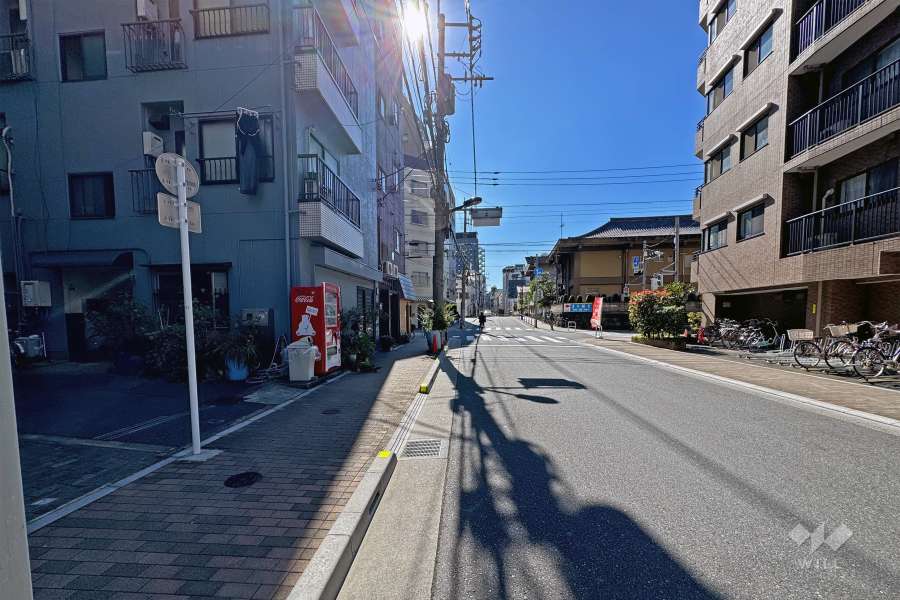 敷地の東側前面道路（北側から）