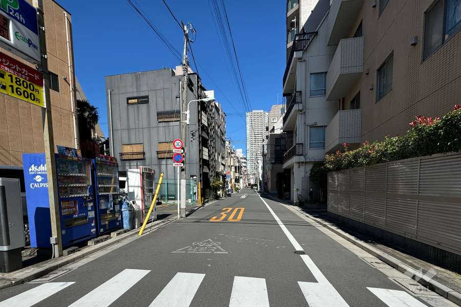 敷地の西側前面道路（南側から）