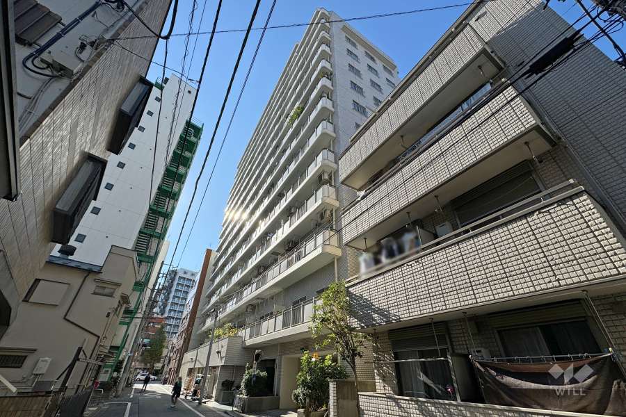 上野ロイヤルハイツの外観（北東側から）