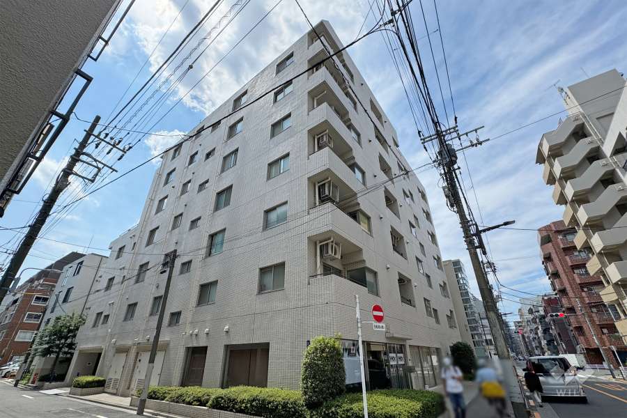 上野入谷シティハウスの外観（北東側から）.